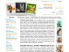 Питомник Artlazar - котенок мейн кун, бенгальский и абиссинский