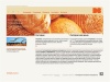 Фермипан - дрожжи Fermipan - Голландские пекарные ингредиенты : сухие дрожжи для