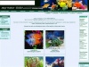 онлайн энциклопедия аквариумных рыбок и растений - фото, характеристики,