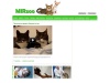 Собаки и кошки, животные щенки, котята - MIRzoo -