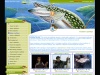 Рыболовный портал Рыбалка Онлайн