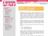 «AGNY» — поисковая оптимизация сайтов, оптимизация