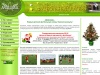 Angelball - детский футбольный лагерь: футбол и детский отдых, спортивный лагерь