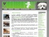 Сайт о домашних и бездомных животных, г. Челябинск. Помощь бездомным животным в