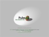 pulze - веб дизайн, создание, модернизация, поддержка