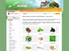 RUScemena.ru - интернет-магазин семена почтой по