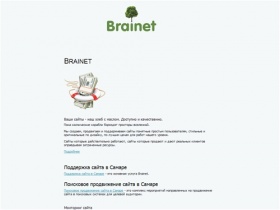 Brainet - разработка сайта, продвижение и поддержка сайта в