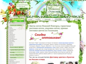 Цветы оптом Нижний Новгород, горшечные растения оптом, упаковка оптом, прямые