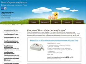 Новосибирские инкубаторы - Продажа бытовых инкубаторов. Купить мини инкубатор домашний почтой для птицеводства из яиц