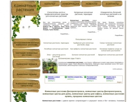 
Комнатные растения Днепропетровск | комнатные цветы Днепропетровск | комнатные