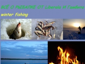 Основы рыбалки, советы для начинающих и профессионалов, виды рыб, рыбалка в Саратове, как собрать удочку.