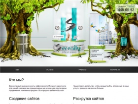 Создание сайтов, раскрутка сайтов — «Сиренити» (Санкт-Петербург)