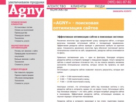 «AGNY» — поисковая оптимизация сайтов, оптимизация сайта