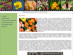 Бегония :: Сайт о цветах бегонии - Begonia-Flower.Ru