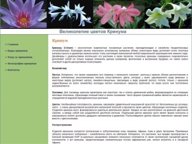 Кринум :: Сайт о цветах кринума - Crinum-Flower.Ru