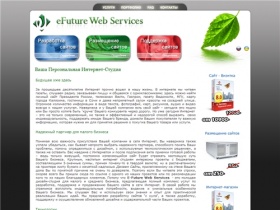 eFuture Web Services Украина Ваша Персональная Интернет-Студия