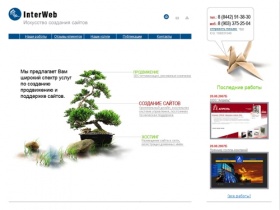 Создание сайтов, Волгоград. InterWeb - разработка сайтов, хостинг, продвижение