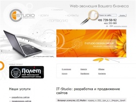 Интернет-агентство IT-Studio: создание сайтов, разработка сайтов, продвижение