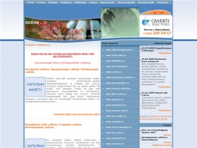 Qwerti - web-студия. Разработка сайтов, раскрутка сайтов, web-дизайн сайтов, баннеры, хостинг, домен в Новосибирске