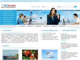 RuNetServices - Санкт-Петербург. Создание сайтов, продвижение сайтов, разработка фирменного стиля и др.