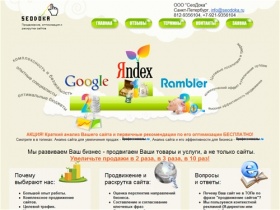 Раскрутка сайтов, оптимизация и продвижение веб-сайтов в поисковых системах