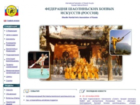 Федерация шаолиньских боевых искусств России, Shaolin Martial Arts Association