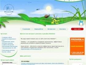 Агентство Интернет рекламы и дизайна Webdom - web дизайн, создание сайтов и