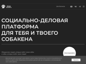 АЙДА ГУЛЯТЬ - это уникальная бесплатная всероссийская социально-деловая платформа для владельцев собак и зообизнеса, в которой есть всё (или почти всё), что нужно владельцу четвероногого и всем тем, чья жизнь и работа связана с собаками